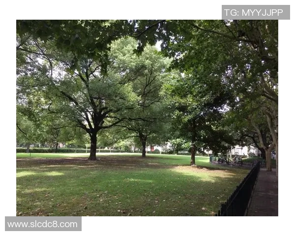 《踢进梦想的校园：一位足球天才的成长之路与校园情缘》