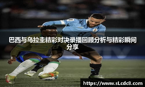米兰体育平台
